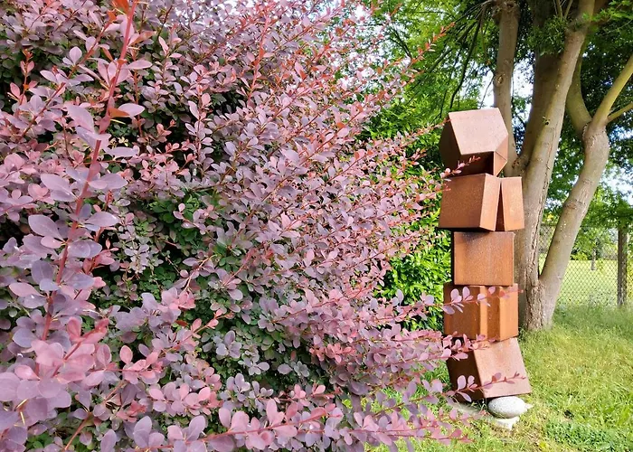 Gite Dans Parc De Sculptures - Gîte Pondichery